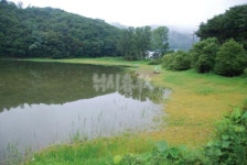 낚시춘추, 내고장 유망낚시터 - 9월 경기·강원 /  안성 동항지   수위 70% 회복과 함께 입질 시작