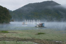 낚시춘추, 내고장 유망낚시터    12월 충북 - 충주 모점지    최상류 수몰나무와 도로변 첫째 골 뗏장수초가 겨울 명당