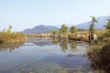 낚시춘추, 신동현의 낙동강 붕어터 순례(4) - 구미보 낙산리샛수로와 독동수로
