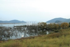 낚시춘추, 신동현의 낙동강 붕어터 순례(4) - 구미보 낙산리샛수로와 독동수로