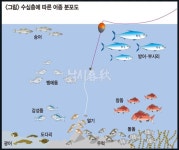 낚시춘추, 테크닉 초보자코너-반유동낚시 수심 맞추는 법