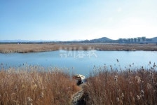 낚시춘추, 전남/나주 죽산보 둠벙-1만평짜리 둠벙, 씨알은 더 역대급