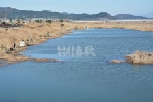 낚시춘추, 전남/나주 죽산보 둠벙-1만평짜리 둠벙, 씨알은 더 역대급