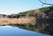 낚시춘추, 전북/고창 증산지-고창담양간고속도로 공사 중 발견!