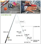 낚시춘추, 강원 I 동해 묵호항-도다리원투낚시 호황