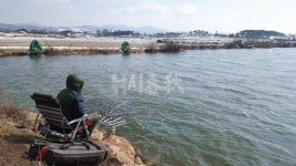 낚시춘추, 충남 I  서산 성암지-43만평의 대형 봄낚시터 얼음 녹자마자 전면적 호황
