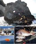 낚시춘추, 경남 I 통영 좌사리도-참돔터로 탈바꿈한 지 어언 4년째