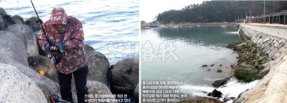 낚시춘추, 연재 I 이성규의 enjoy 방파제 캠핑 ➍-섬마을 힐링, 신지도 동고리