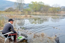낚시춘추, 충남-논산 논산지_193만평 탑정호가 뜨겁다