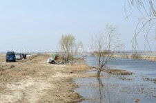 낚시춘추, 특 집_삽교호 환골탈태 떡붕어, 배스 줄고 토종붕어터 로 거듭나다