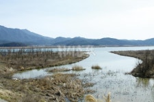 낚시춘추, 경북_낙동강 구미보-‘개도 월척을 물고 다녔다’는 전설의 호황터 독동수로 산란특수 초읽기