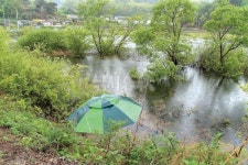 낚시춘추, 경북_의성 용암지-버드나무 숲에서 월척 대소동
