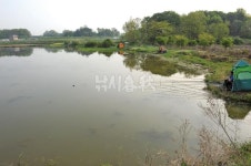 낚시춘추, 충남_천안 연곡지-수도권 토종터 자생 참붕어와 바닥새우로 월척 사냥