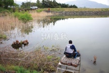 낚시춘추, 전남_보성 대곡지-블루길 사라지자 미끼 안 가리고 폭풍 입질