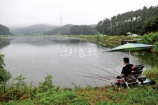 낚시춘추, 내 고장 7월 유망낚시터-충남 태안 황촌지