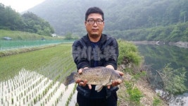 낚시춘추, 내 고장 7월 유망낚시터-충북 보은 쌍암지