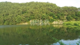 낚시춘추, 내 고장 7월 유망낚시터-경남 창녕 초곡지