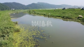 낚시춘추, 내 고장 8월 유망터-경남 창녕 화영수로