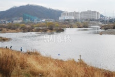 낚시춘추, 기고-대구 낚시인들의 목소리 금호강 낚시금지구간해제를 촉구한다