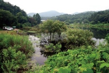 낚시춘추, 충북_충주 용원지(신덕지)-한여름밤의 꿈