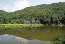 낚시춘추, 충남_공주 유구천-해월보 붕어들은 바닐라향을 좋아해