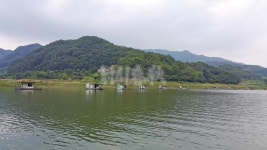 낚시춘추, 충북_충주호-탄동골 좌대의 마릿수 파티
