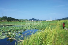 낚시춘추, 전남_나주 강변저류지-영산강물 한 방울도 섞이지 않은 신생 청정낚시터