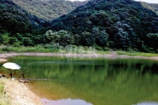 낚시춘추, 충남＿천안 의관소류지－병천순대보다 쫄깃한 ‘병천 떡붕어’ 손맛