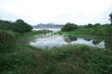 낚시춘추, 경기_여주 남한강 전북리-전설의 전북리둠벙 이포보 아래 자취가 남아 있다