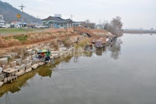  낚시춘추, 최초공개-청호지 인근의 붕어 화수분 계화조류지 대발견!