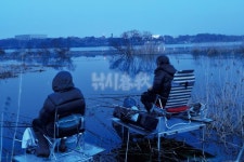  낚시춘추, 충남_삽교호 소반리수로-본류 옆 둠벙 형태의 샛수로에 토종붕어 와글와글