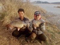  낚시춘추, 충남_서산 팔봉수로-47, 45, 42.5, 41.5cm…화려한 개막 호황
