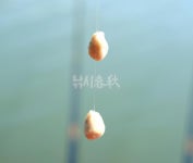  낚시춘추, 연재_신동현의 낙동강 순례 20-김해 주천강 진영공설운동장 앞 수로
