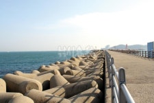  낚시춘추, 연재_이성규의 enjoy 방파제 캠핑 14-멸치축제의 명소 기장 대변방파제