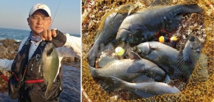  낚시춘추, 연재_이승배의 탐라도 재발견 18-서귀포 본섬 명당 강정동 선녀코지