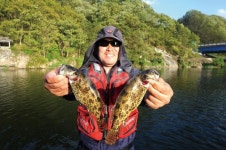  낚시춘추, 충북_영동 금강-충북_영동 금강 심천 양강교에서 물표범을 만나다