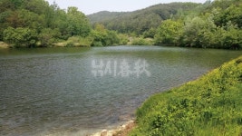  낚시춘추, 경남_의령 운곡지-여름에 빛나는 청정 밤낚시터