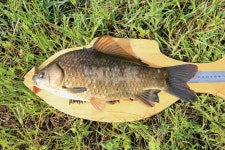  낚시춘추, 전남_곡성 모텔방죽-비밀 방죽의 초여름 전설