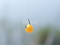  낚시춘추, 전남_곡성 모텔방죽-비밀 방죽의 초여름 전설