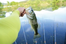  낚시춘추, 전남_곡성 모텔방죽-비밀 방죽의 초여름 전설