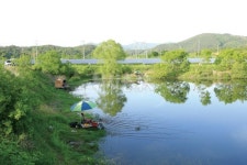  낚시춘추, 전남_곡성 모텔방죽-비밀 방죽의 초여름 전설