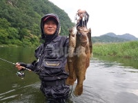  낚시춘추, 전남_구례 섬진강- 밤에는 쏘가리, 낮에는 꺽지