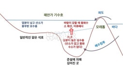  낚시춘추, 연재_김범철 교수의 호수의 과학 27-바람 강한 날, 석호의 물고기들이 떼죽음하는 이유는?