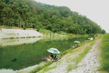  낚시춘추, 연재_신동현의 낙동강 순례 23-한여름에 주목하라   구미 한천(옥계수로) 최하류