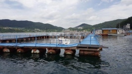  낚시춘추,  경남_거제 지세포 선창해상낚시터-휴가낚시터 1순위로 떴다