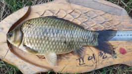  낚시춘추, 9월 내고장 유망낚시터_경남-진주 우봉지