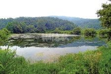  낚시춘추, 경북_의성 대곡지-외진 숲속에 고이 숨어 있었더냐!
