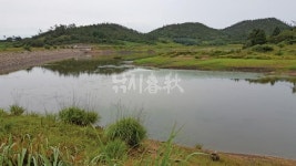  낚시춘추, 전남_신안 하의도- 허박동수로의 소동