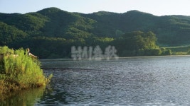  낚시춘추, 전북_정읍 용산지-내장산 붕어 손맛 보러 오셔유
