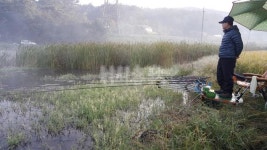  낚시춘추, 서산·태안권 가을붕어 총점검-현장②-태안 신두 3호지 신두삼형제의 당찬 막내